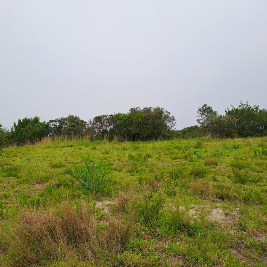 0 Bedroom Property for Sale in Schoongezicht Western Cape